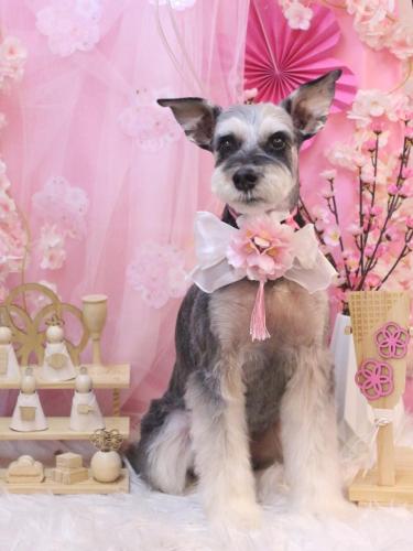 20250316銀次くん